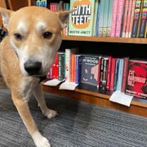 Thumbnail photo of Felix #2