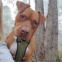 Thumbnail photo of kingston #1