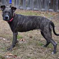 Thumbnail photo of Mika #2