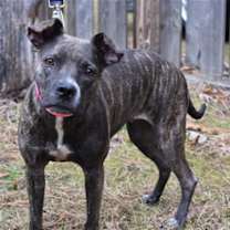 Thumbnail photo of Mika #4