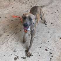 Thumbnail photo of Davina #1