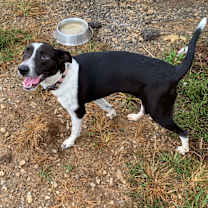 Thumbnail photo of Lucia #2