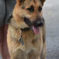 Thumbnail photo of Luna Mia #1