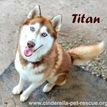 Thumbnail photo of Titan #1