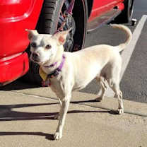 Thumbnail photo of Jillie #3