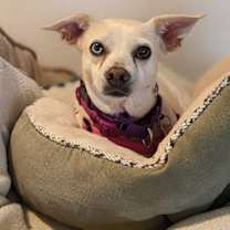 Thumbnail photo of Jillie #4