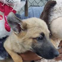 Thumbnail photo of Bubba #2