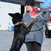 Thumbnail photo of Ruger #4
