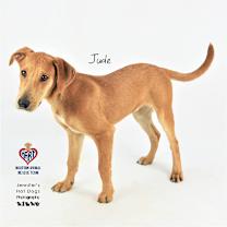 Thumbnail photo of Jude #3