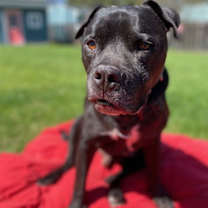 Thumbnail photo of Rico Suave #1