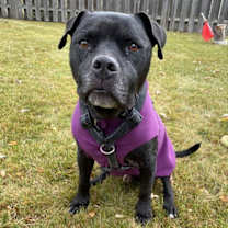 Thumbnail photo of Rico Suave #3