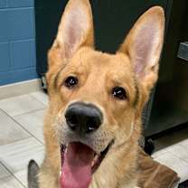 Thumbnail photo of Buddy #1