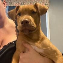 Thumbnail photo of Tex #3