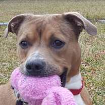 Thumbnail photo of Hank #3