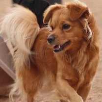Thumbnail photo of Cooper #1