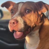 Thumbnail photo of Jilly #1