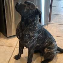 Thumbnail photo of Ruth #1