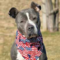 Thumbnail photo of Meera #1