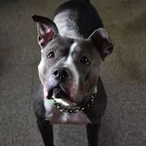 Thumbnail photo of Meera #2