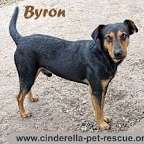Thumbnail photo of Byron #1