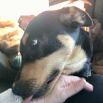 Thumbnail photo of Simone (Olympic crew) #4