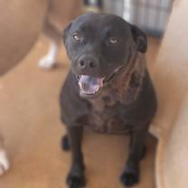 Thumbnail photo of Laila #1