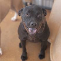 Thumbnail photo of Laila #2