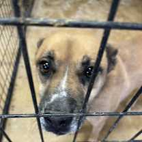 Thumbnail photo of Faith #1