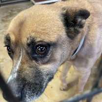 Thumbnail photo of Faith #2