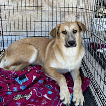 Thumbnail photo of Mindy #2