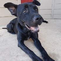 Thumbnail photo of Andy #4