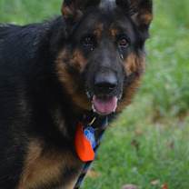 Thumbnail photo of Nym #1