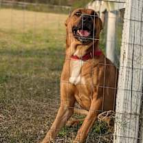 Thumbnail photo of Mitch #2