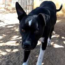 Thumbnail photo of Denzel-foster home #1