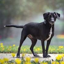 Thumbnail photo of Melanie #2