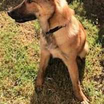 Thumbnail photo of Buddy #3