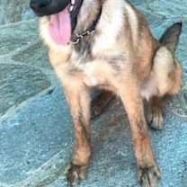 Thumbnail photo of Buddy #2