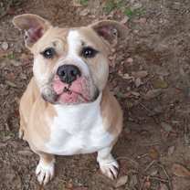 Thumbnail photo of Hercules #4