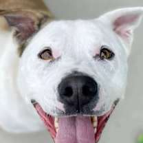 Thumbnail photo of Miss Molly #1