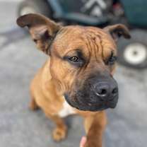 Thumbnail photo of MAX #1