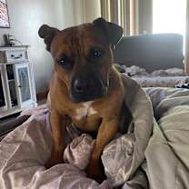 Thumbnail photo of MAX #2