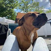 Thumbnail photo of MAX #3