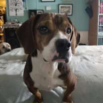 Thumbnail photo of Tessa #1