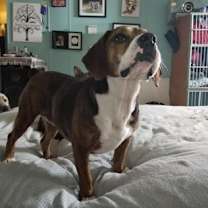 Thumbnail photo of Tessa #2