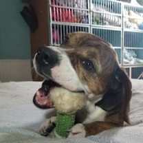 Thumbnail photo of Tessa #3