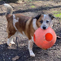 Thumbnail photo of Reecie #2