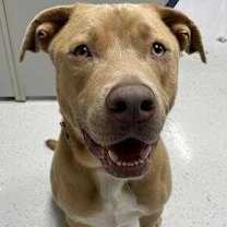 Thumbnail photo of Simba #2