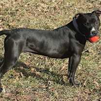 Thumbnail photo of Tokyo #2