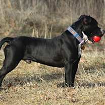 Thumbnail photo of Tokyo #3