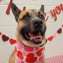 Thumbnail photo of Xena #1